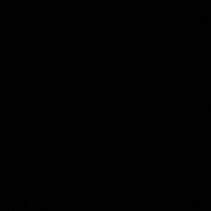 Meet your Posher, Shane